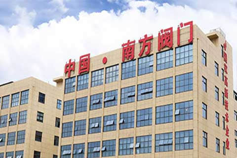 南方閥門(mén)集團(tuán)外貿(mào)獨(dú)立站建設(shè)與谷歌SEO/SEM推廣